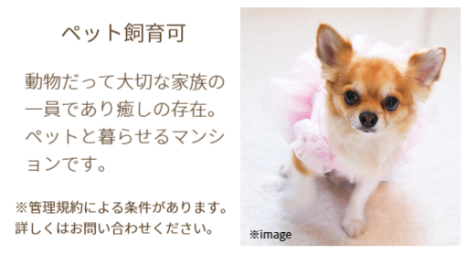 ペット飼育可マンション